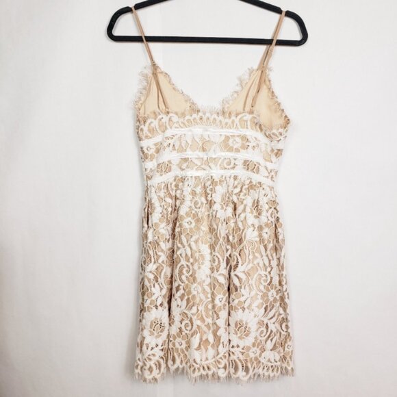 NBD lace mini dress - Picture 7 of 11